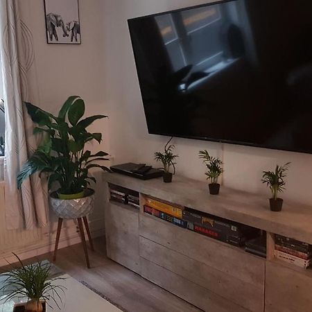 弗伦斯堡Stadtnah An Der Forde公寓 外观 照片