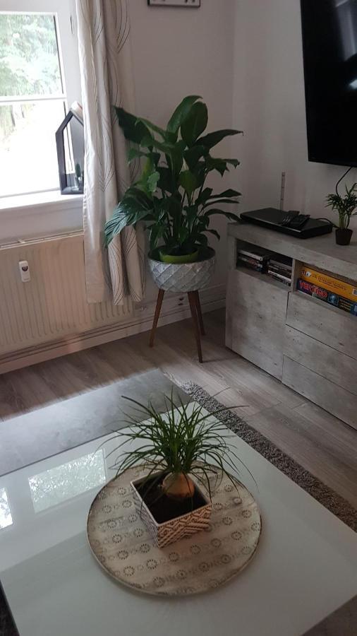 弗伦斯堡Stadtnah An Der Forde公寓 外观 照片